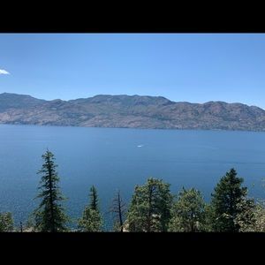 Meet your Posher, Paula